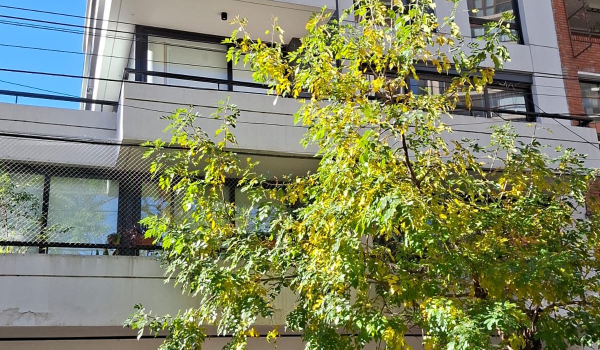 Edificio Segui en A40